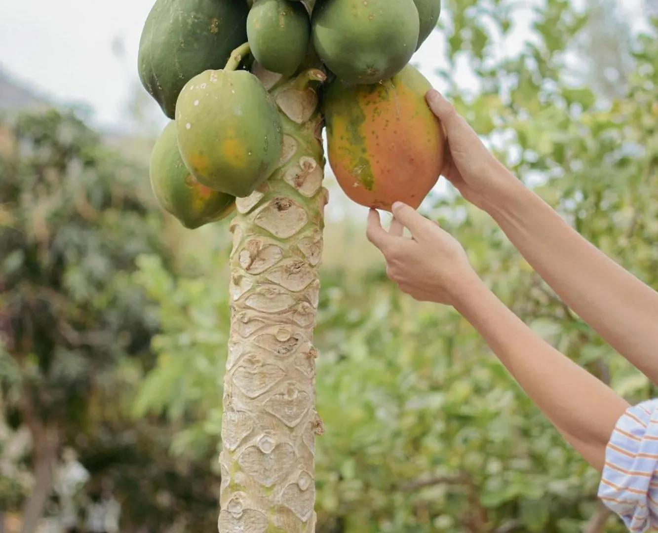 Βίλα Finca Rural Los Tanquillos San Bartolomé
